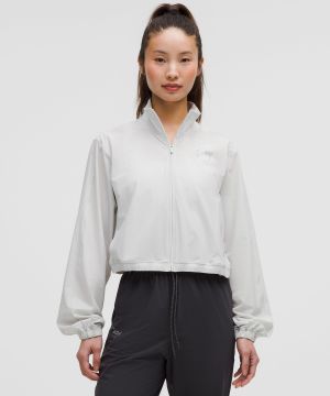 蒸汽灰